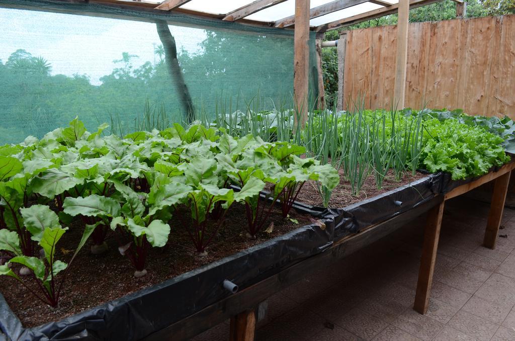Cabinas Capulin & Farm