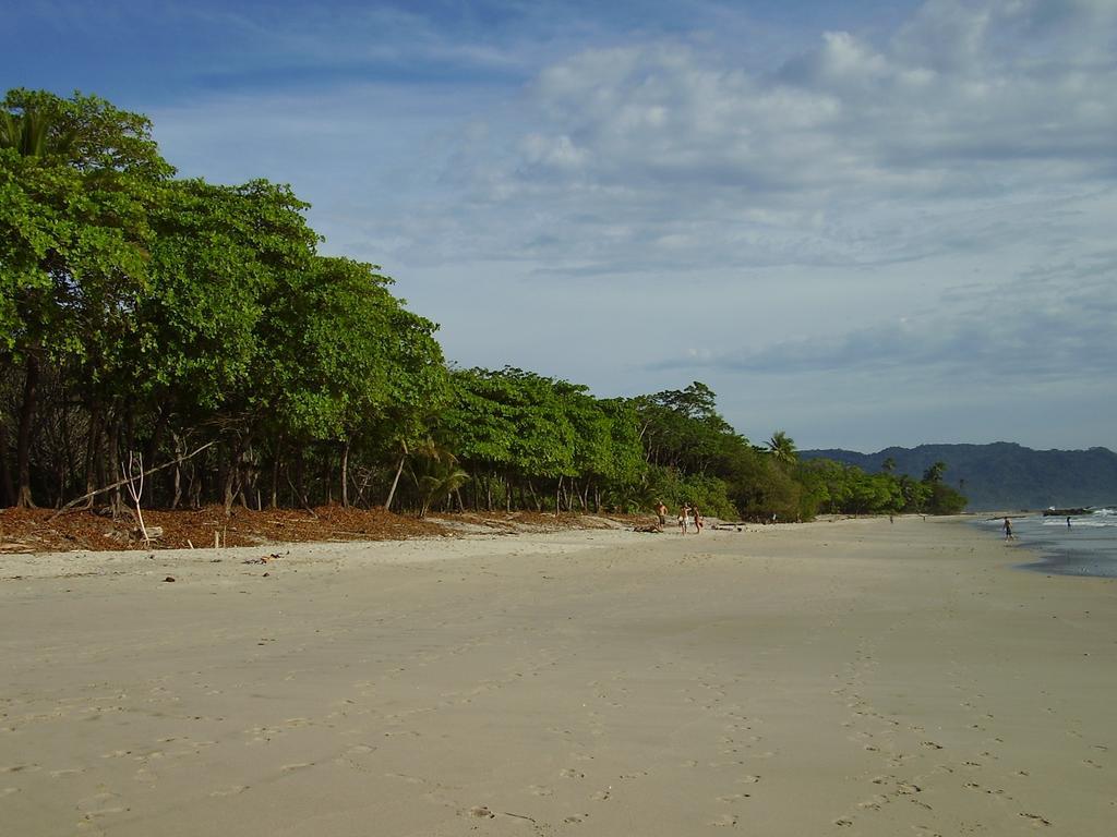 Raratonga Hotel Playa Santa Teresa (Puntarenas)
