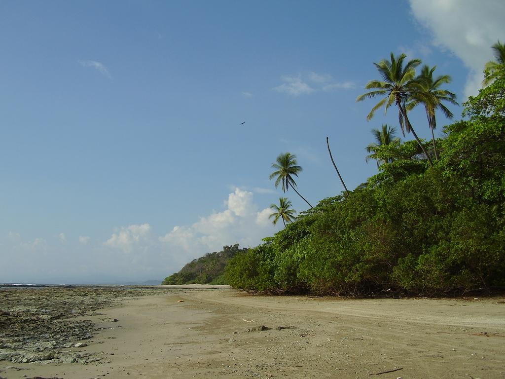 Raratonga Hotel