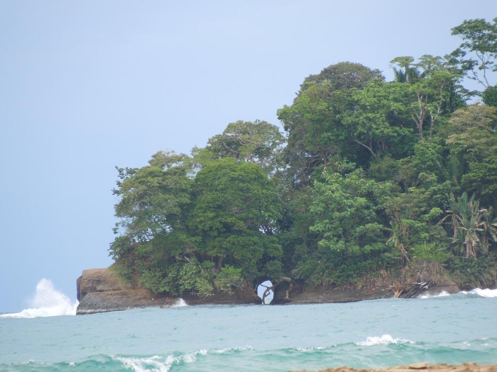 Casitas Flores