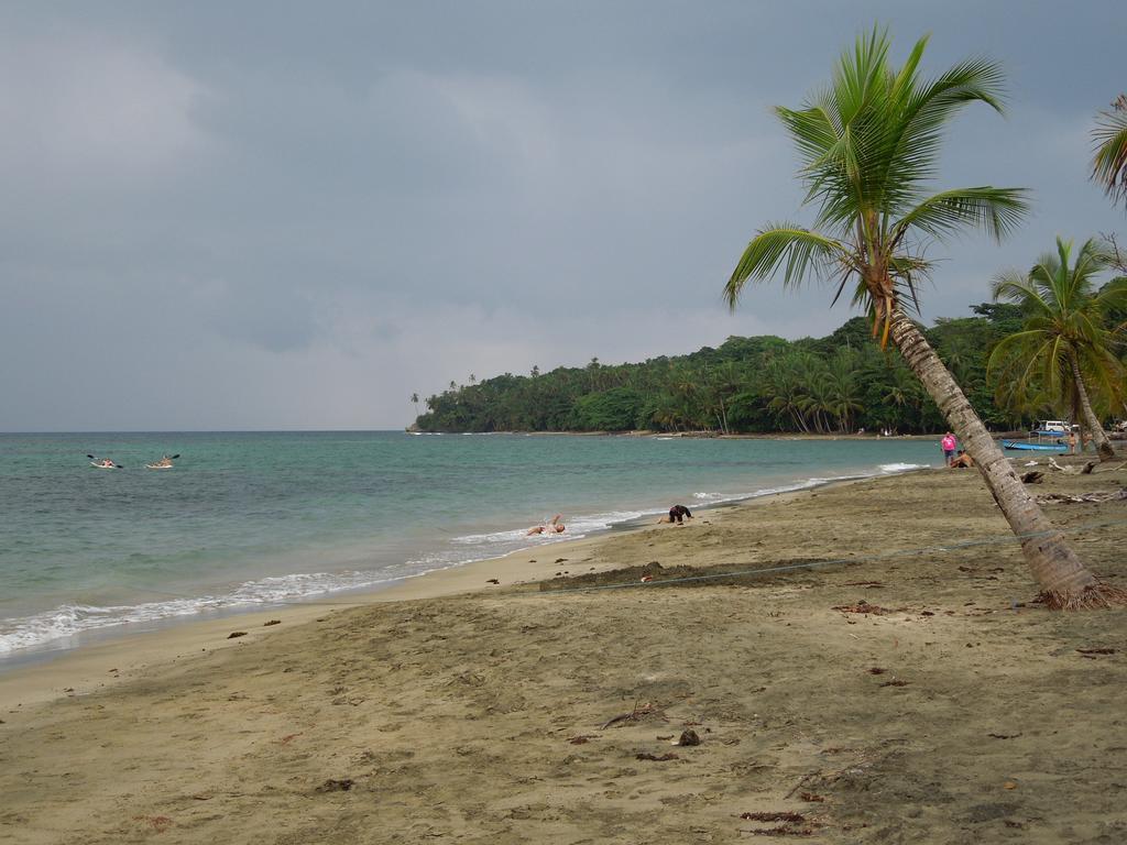 Hotel Casitas Flores *