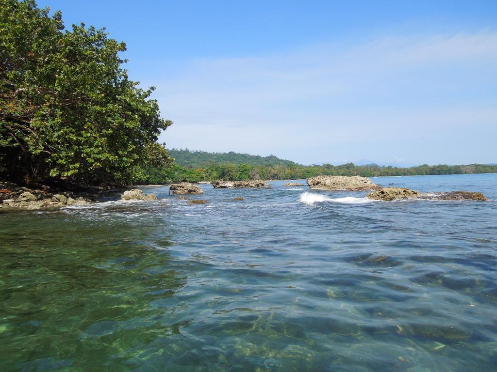 Hotel Casitas Flores