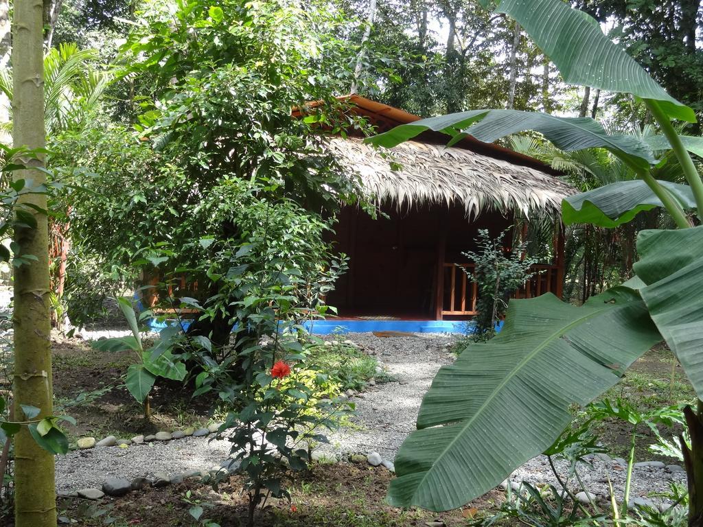 Casitas Flores Puerto Viejo de Talamanca