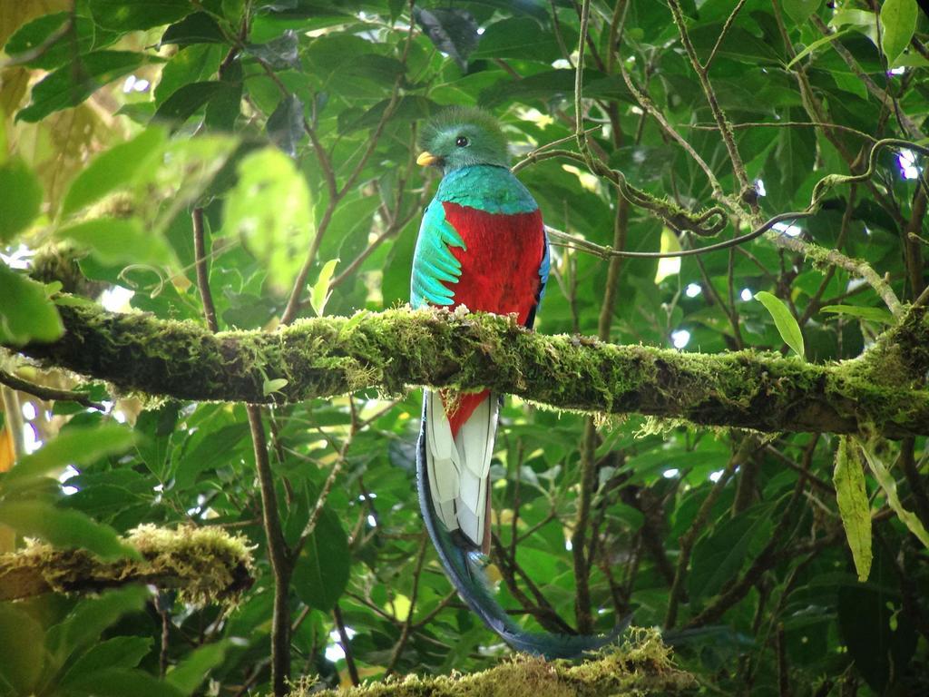 Lodge Rainbow Valley Costa Rica Monteverde