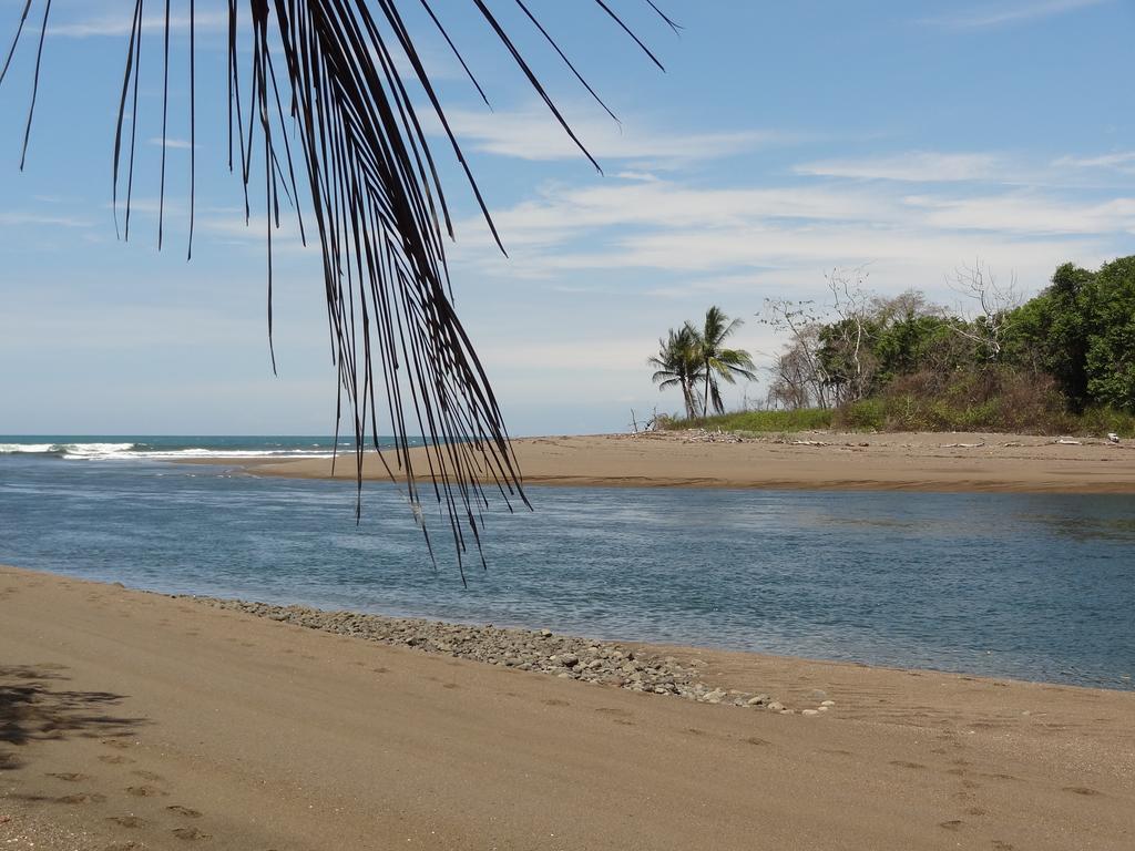 Encanto Drake Bay