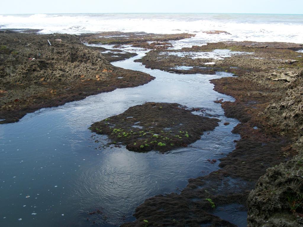 Piscina Natural On The Sea Cahuita