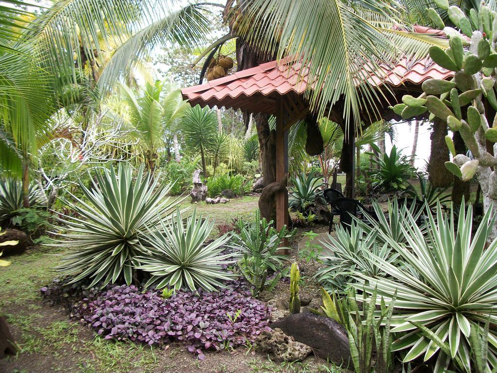 Hotel Piscina Natural On The Sea Cahuita