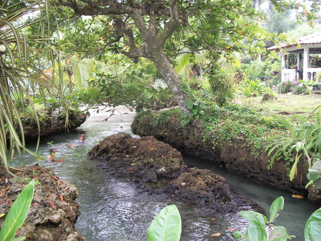 Piscina Natural On The Sea Hotel Cahuita