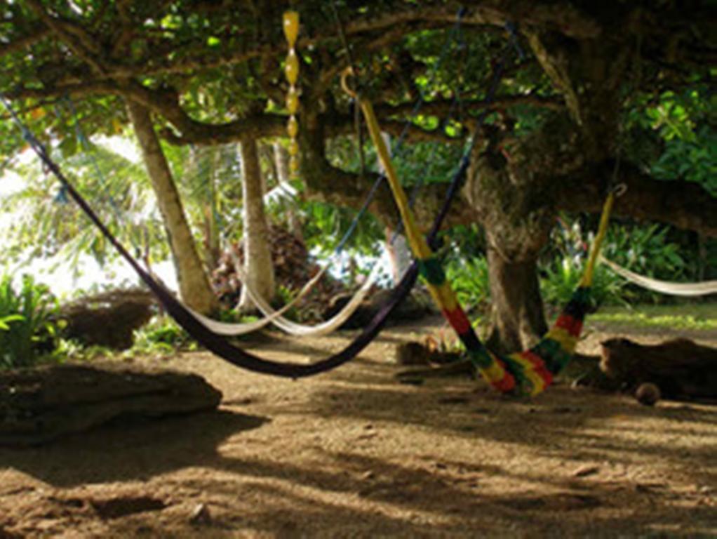 Piscina Natural On The Sea Cahuita