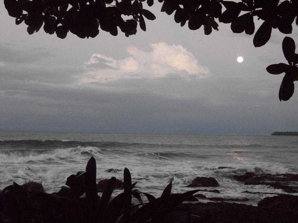 Hotel Piscina Natural On The Sea Cahuita