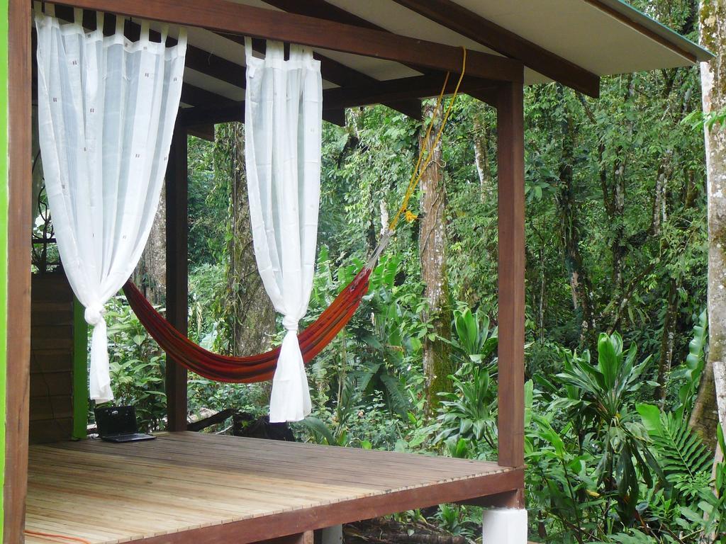 Apartment Casa Lina Sloth View Exotic With Privat Kitchen