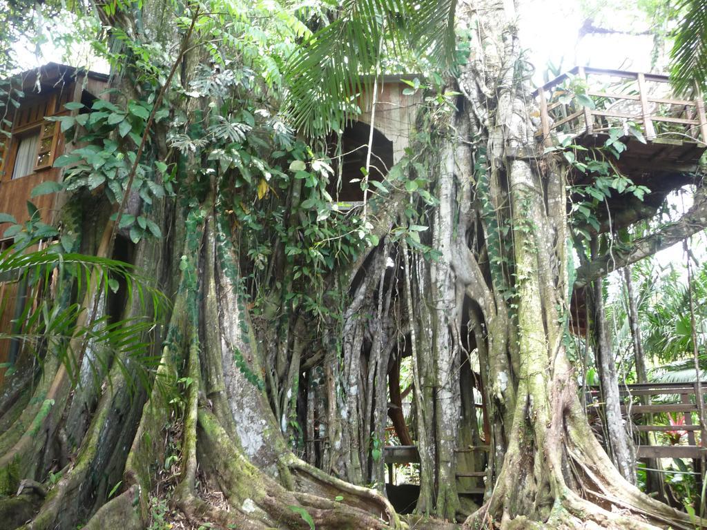 Holiday home Topos Tree House