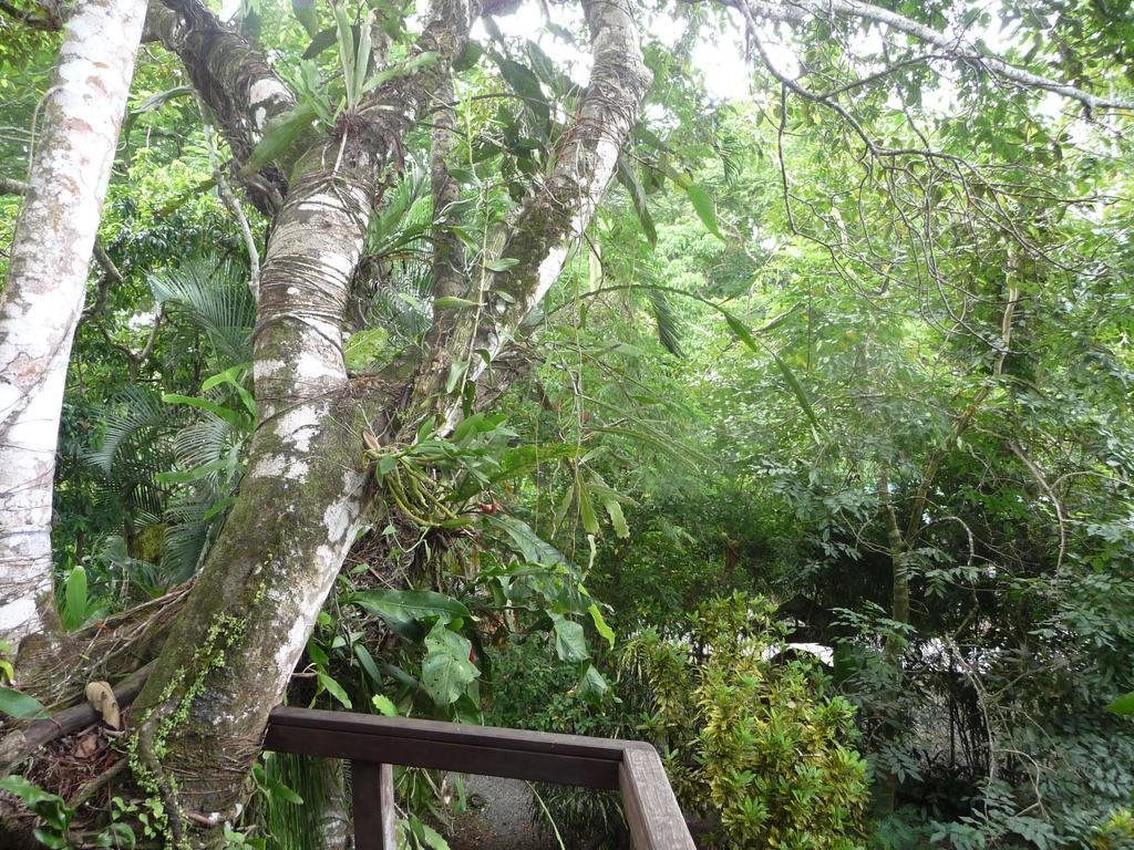 Holiday home Topos Tree House Cahuita