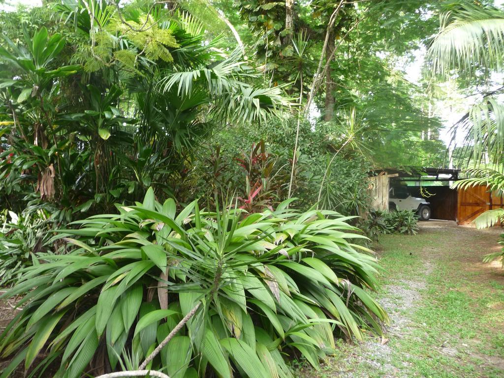 Topos Tree House Holiday home *