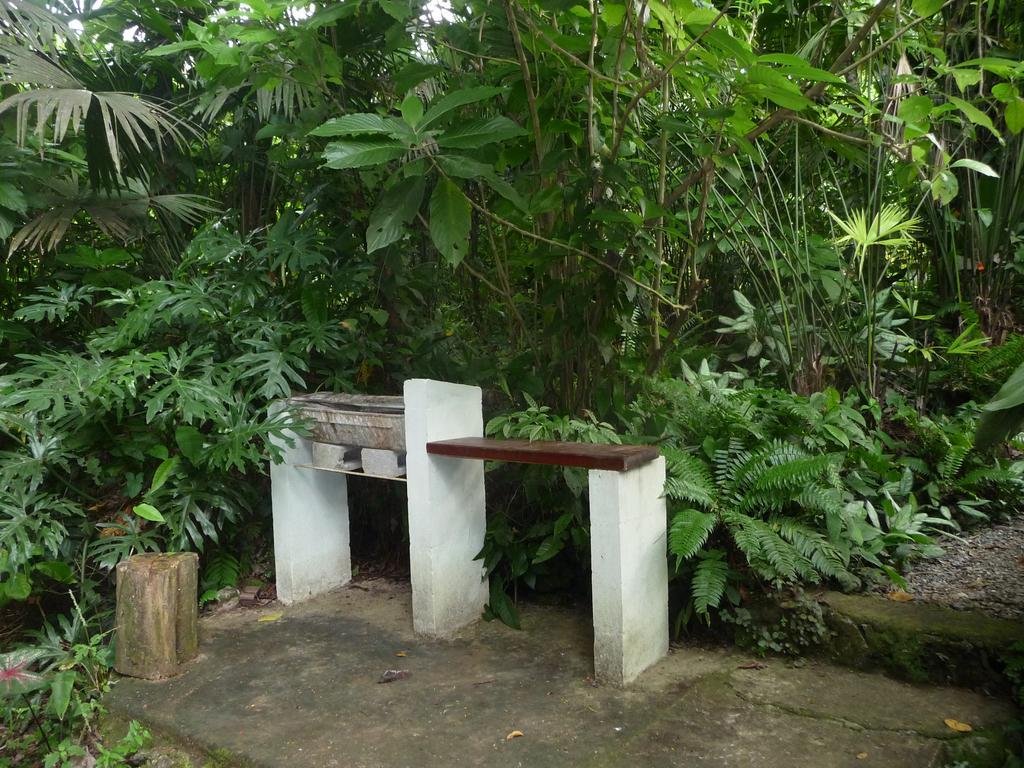 Topos Tree House Holiday home Cahuita