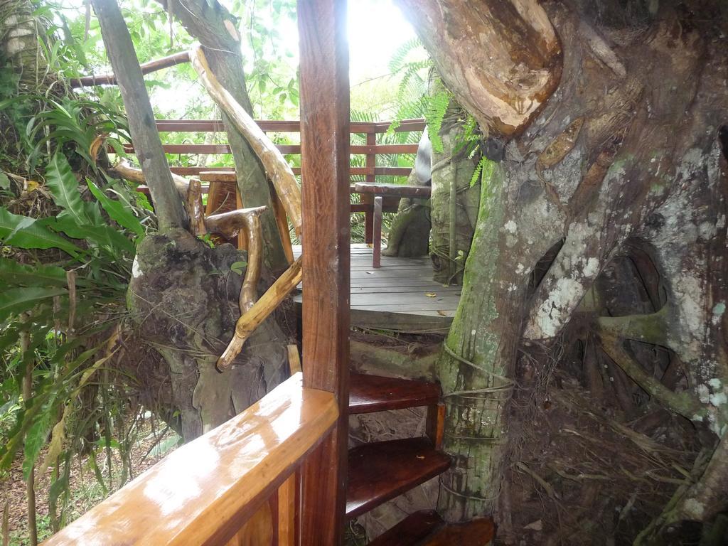 Topos Tree House Cahuita
