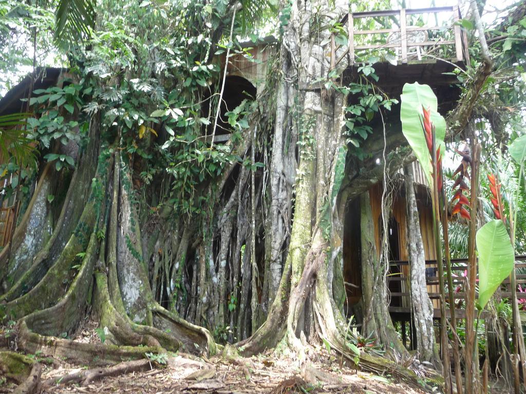 Holiday home Topos Tree House Cahuita
