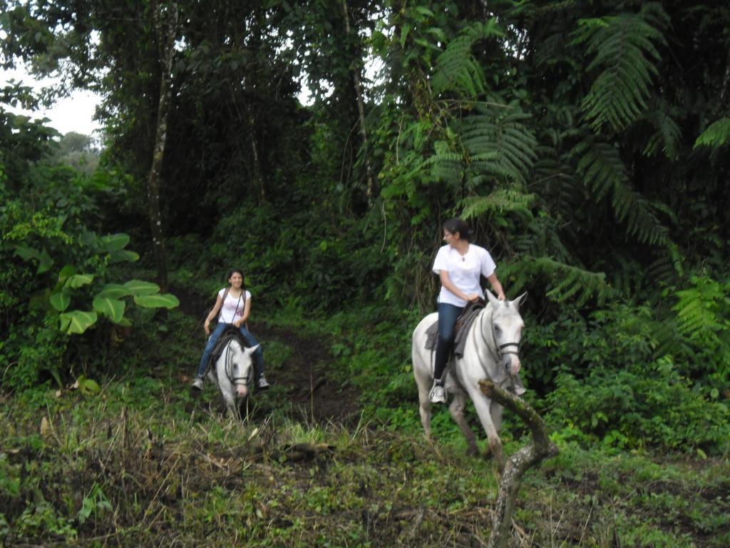 Castillo Del Hotel Arenal