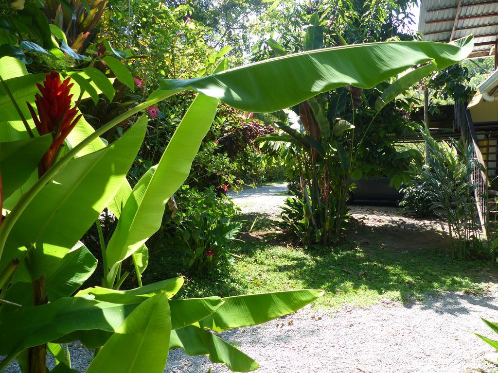 Lodge Cabinas Montesol