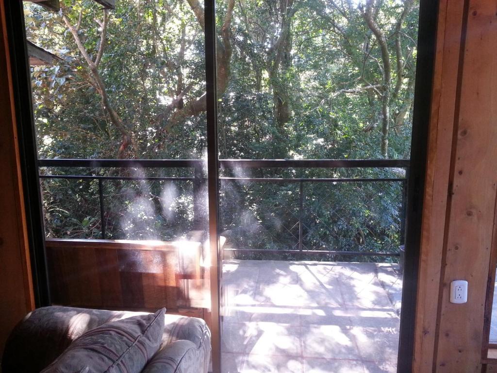 Hotel Manakin Monteverde Costa Rica Las Juntas