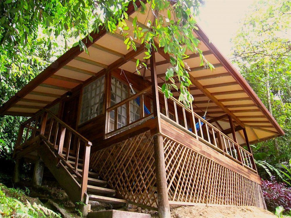 Hotel Samasati Yoga & Wellness Retreat 3*