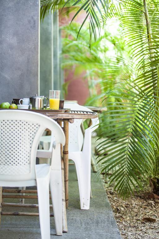 Cabinas Cada Luna Guest house