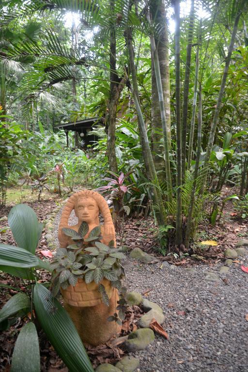 Pachamama Jungle River - Punta Uva