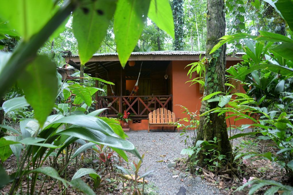 Pachamama Jungle River - Punta Uva Guest house Puerto Viejo de Talamanca