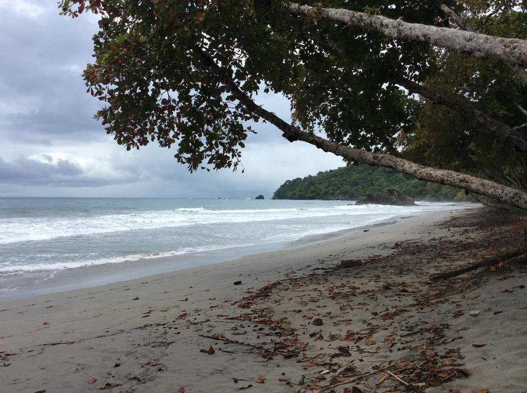 Ecohotel Arboleda Hotel Manuel Antonio