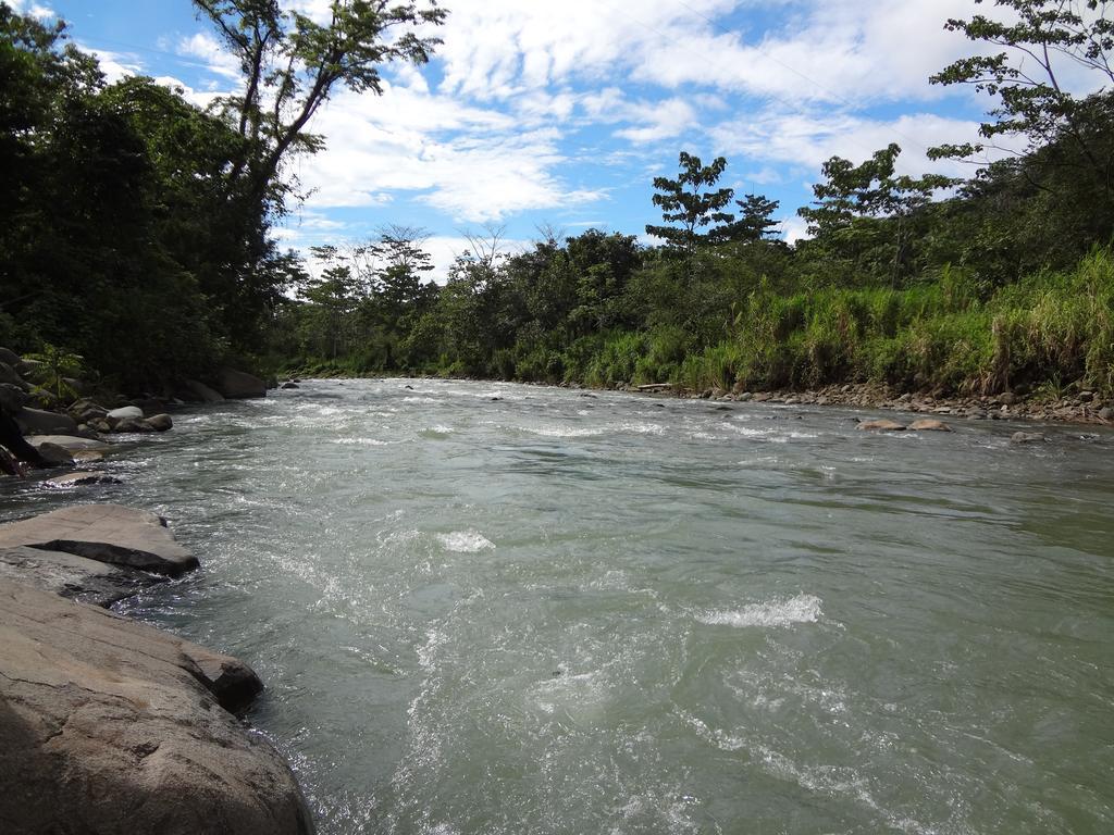 Manoas Luxury Camping And Rentals Uvita