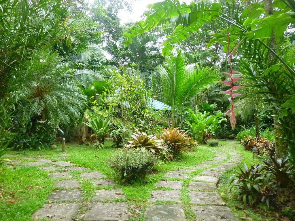 El Nido Jungle Puerto Viejo de Talamanca