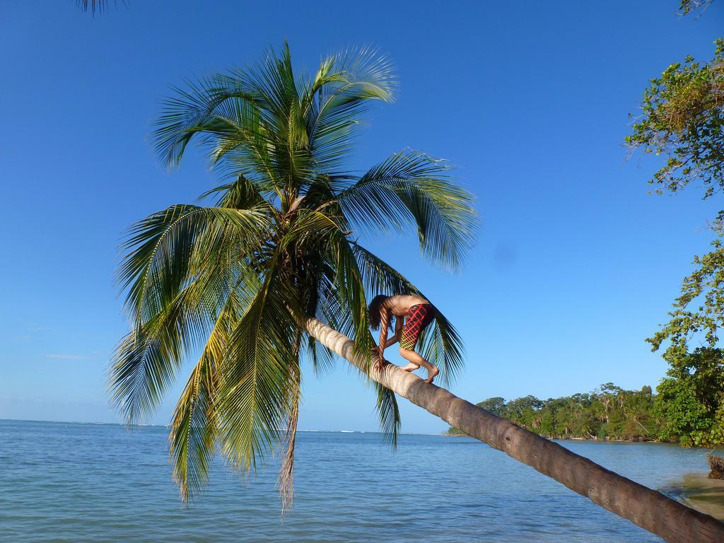 La Costa De Papito 3* Puerto Viejo de Talamanca