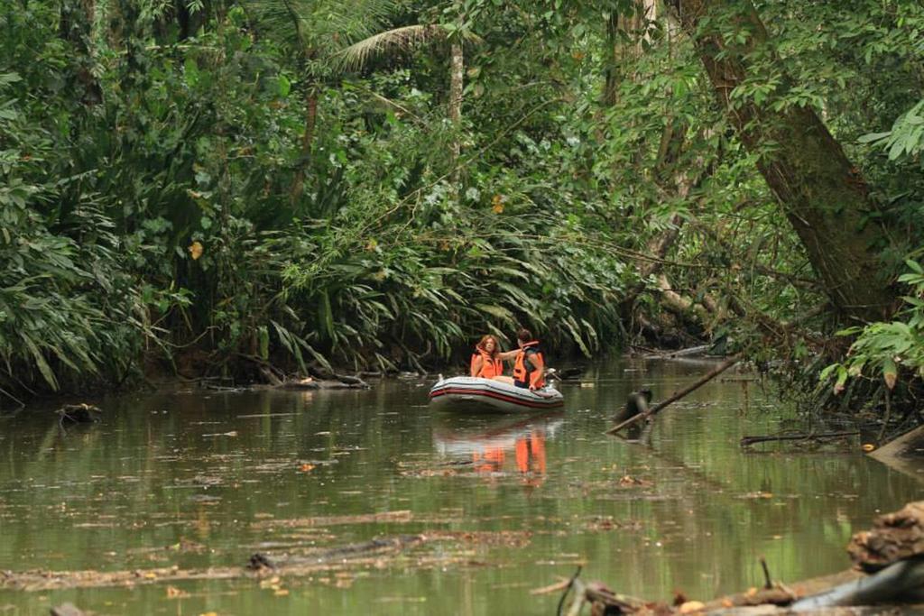 Pachamama Jungle River - Punta Uva Guest house