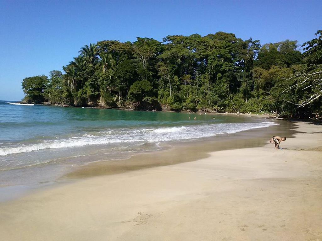 Pachamama Jungle River - Punta Uva Guest house