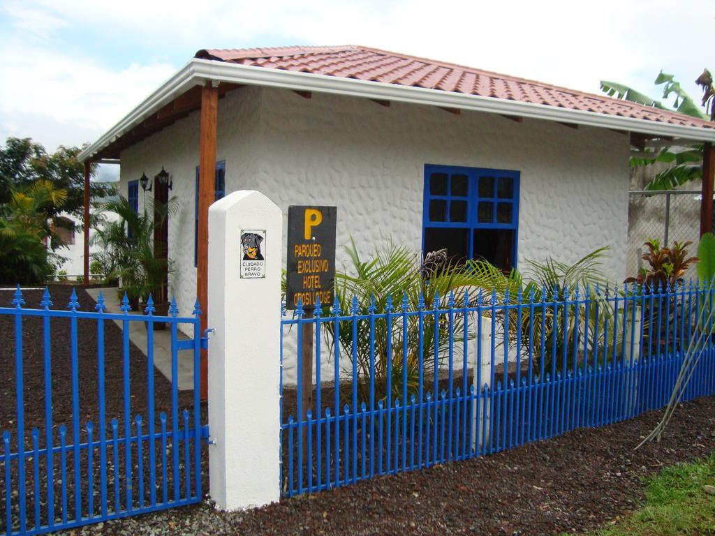 Orosi Lodge Hotel Orosi