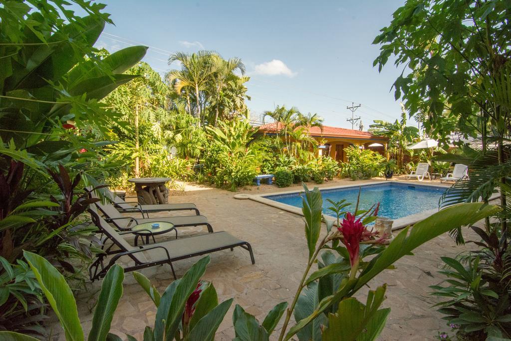 Conchal Hotel Brasilito
