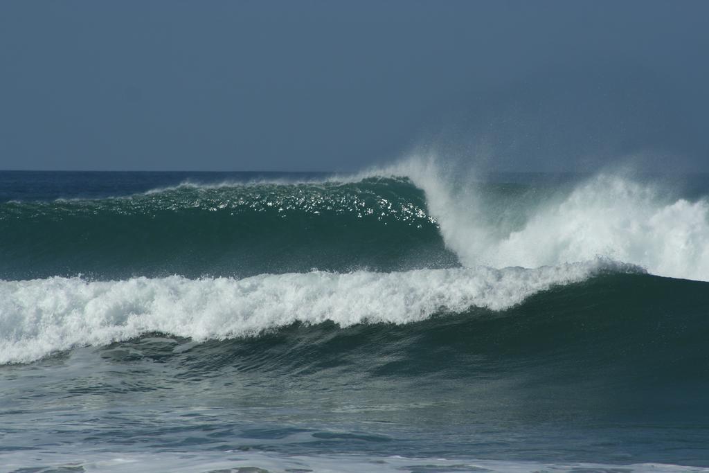 Pacifica Surf Studios Aparthotel Playa Santa Teresa (Puntarenas)