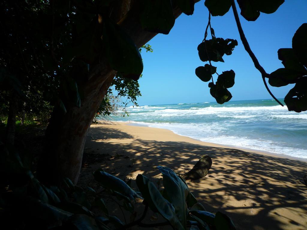 Mar * Puerto Viejo de Talamanca