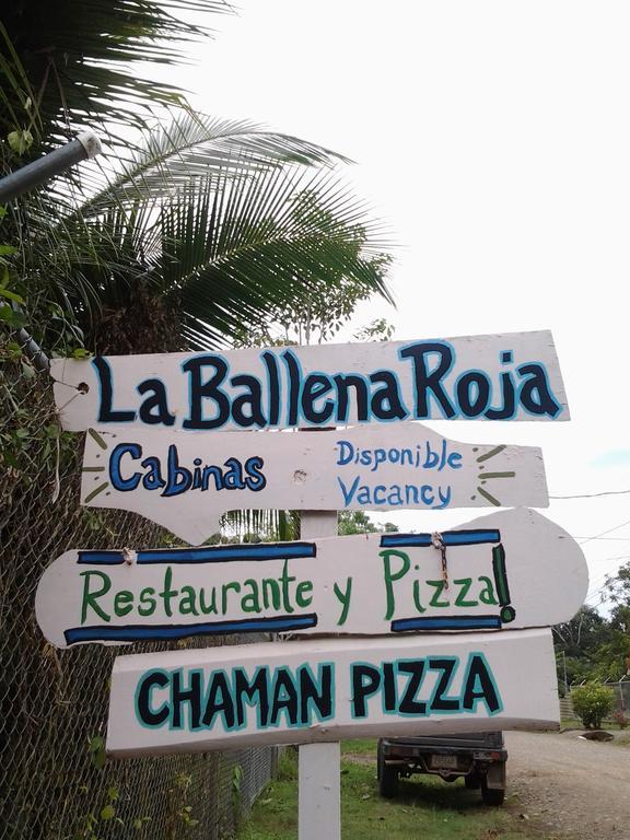 La Ballena Roja And Cafe