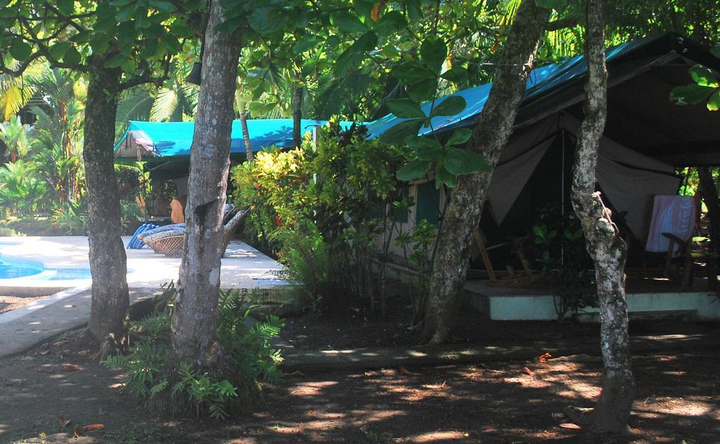 Rafiki Camp Bed & Breakfast Matapalo (Puntarenas)