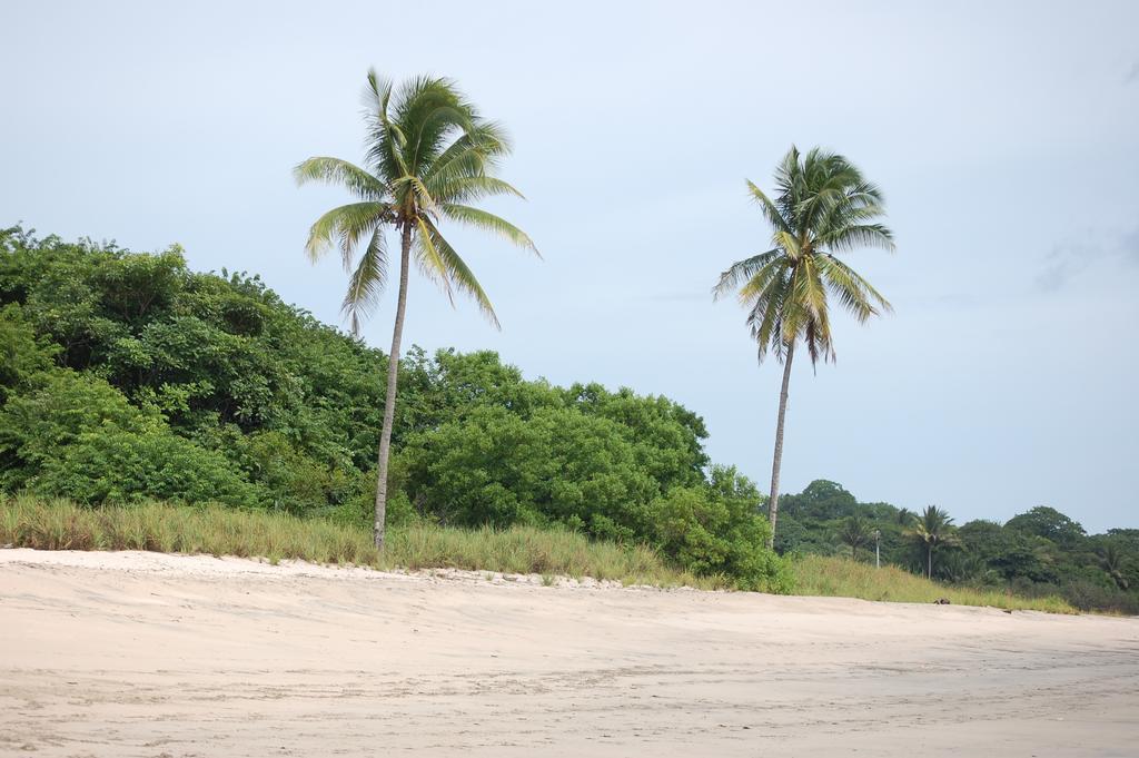 Teak Pacific Aparthotel 3*