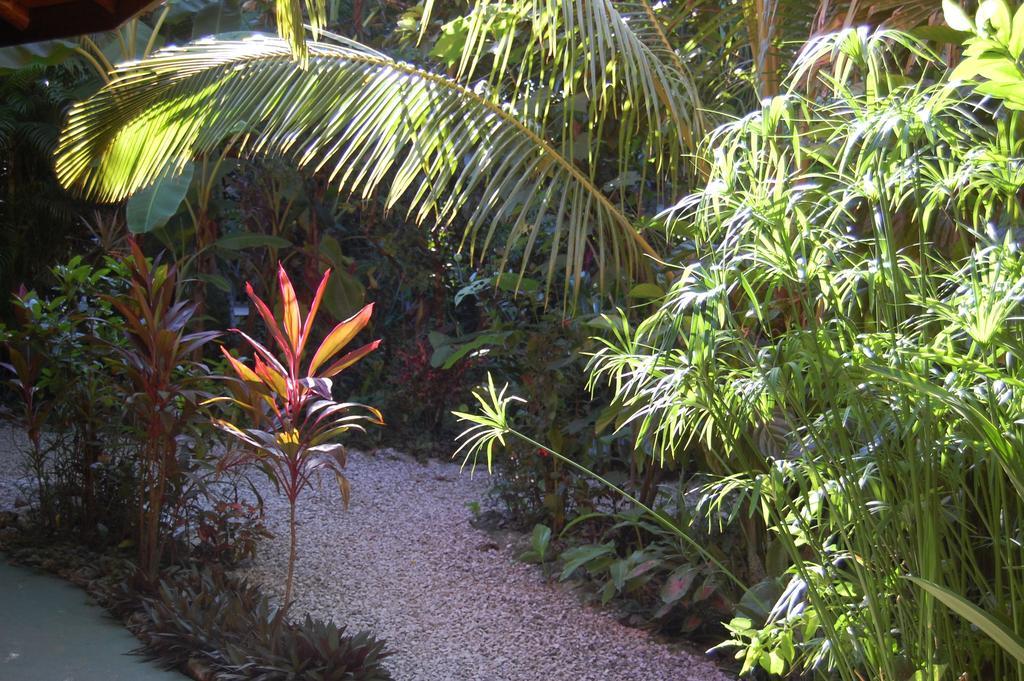 Teak Pacific