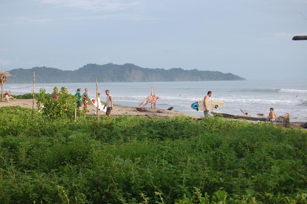 Teak Pacific Nosara