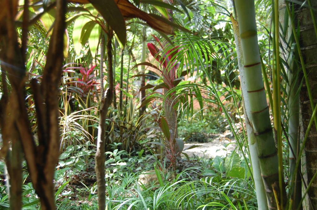 Teak Pacific Aparthotel