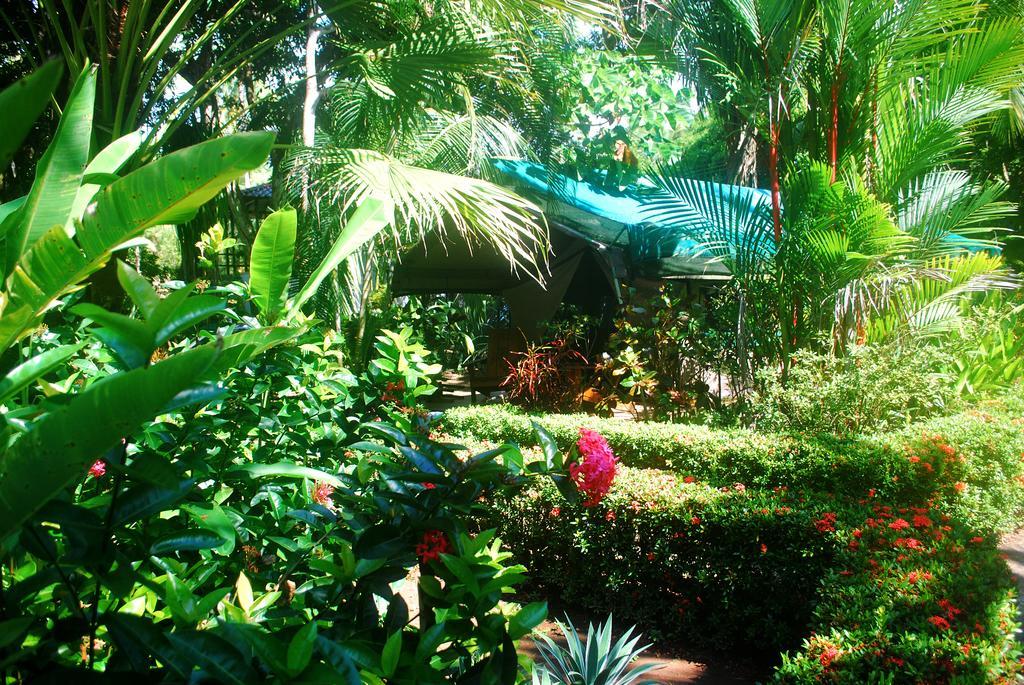Rafiki Camp * Matapalo (Puntarenas)