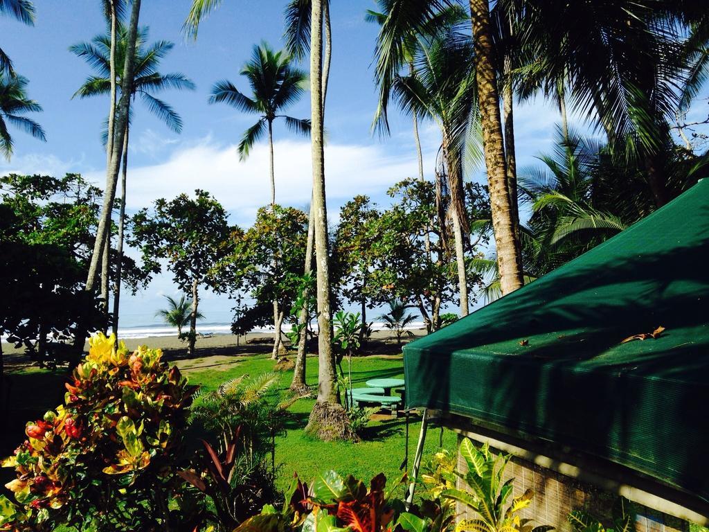 Rafiki Camp Bed & Breakfast Matapalo (Puntarenas)
