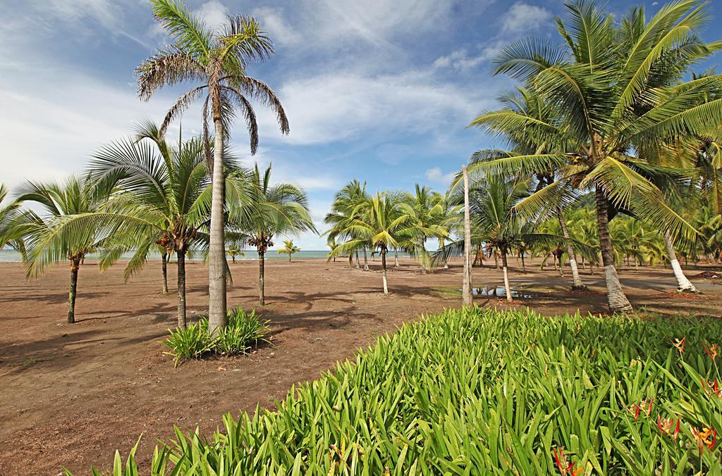 Apartment Best In At Bahia Encantada Jaco