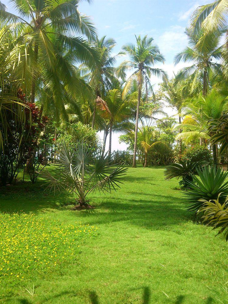 Beso Del Viento (adults Only) Hotel Parrita