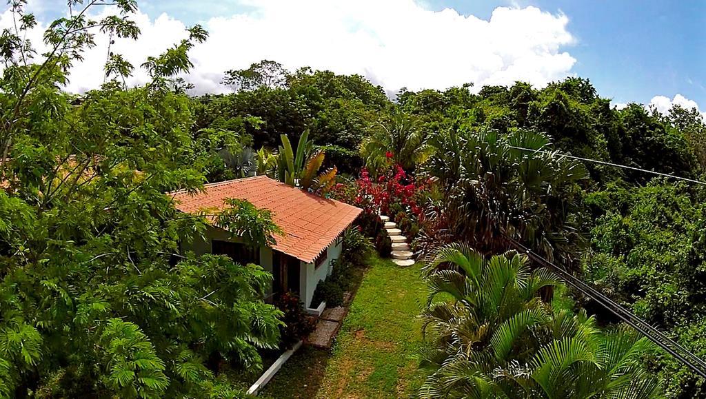 Three Monkeys Hotel Montezuma
