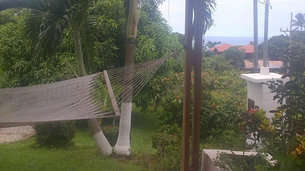 Three Monkeys Hotel